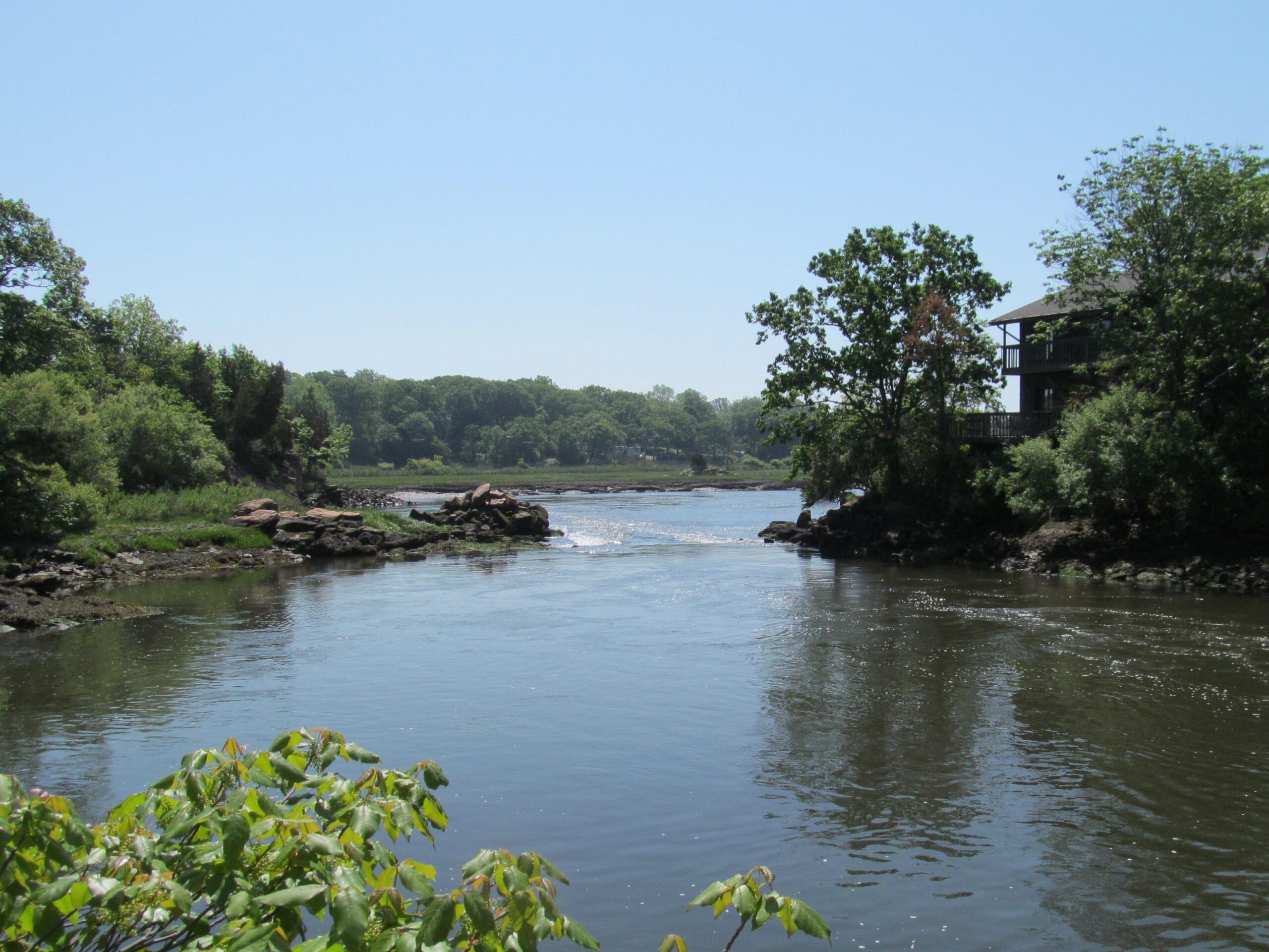 scenic view along Farm River