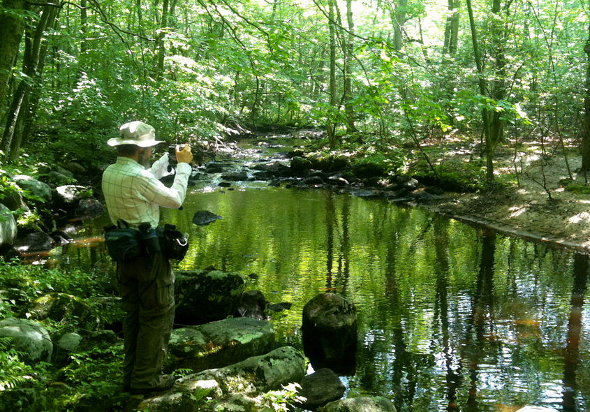 Vernal Pond in Timberlands area of Menunkatuck Trail, North Guilford