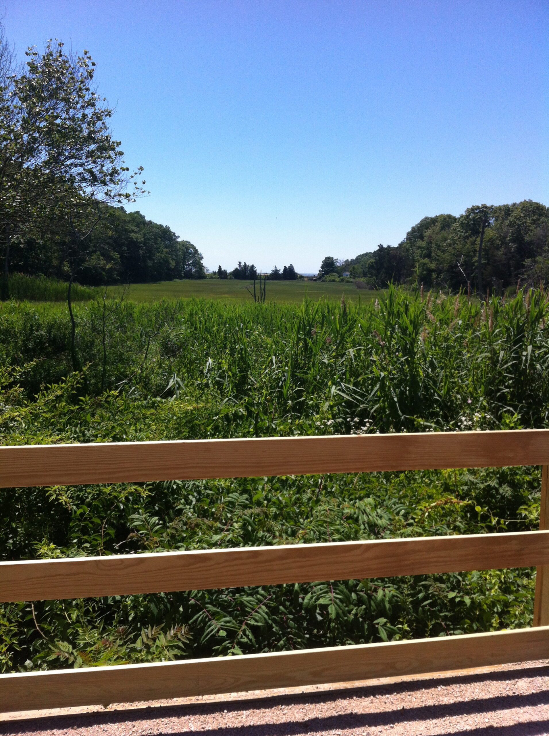 M view from access rd trail section summer w