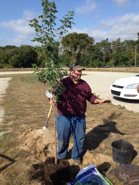 Arborist Michael Gaines tells what to look for when purchasing a tree and how to prepare it for planting.
