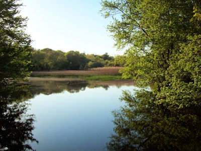 Guilford's East River Preserve
