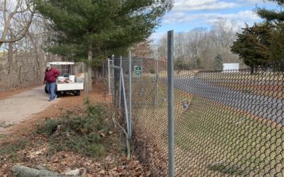 Your Donations at work!! Down tree removed along Madison section.
