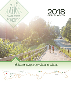 29195 SGT AnnualReport 2018.indd