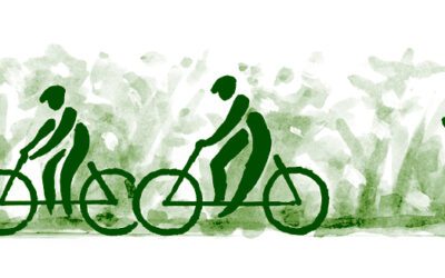 Shoreline Greenway Trail announces its Fall/Winter first Saturday walk & roll dates.