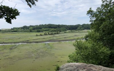 Register for the 2025 CTTrails Symposium, Oct 3rd