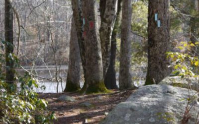 First Saturday Walk Guilford                                               Saturday April 5, 2025 10 AM – 12PM