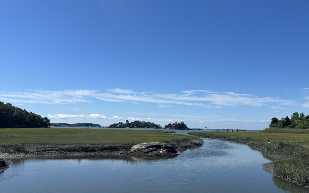 Shoreline Greenway Trail -2025 Intern, offers a Free Zoom Seminar: ‘Building a Resilient Trail”, Wed Jan 28th, 2-3pm