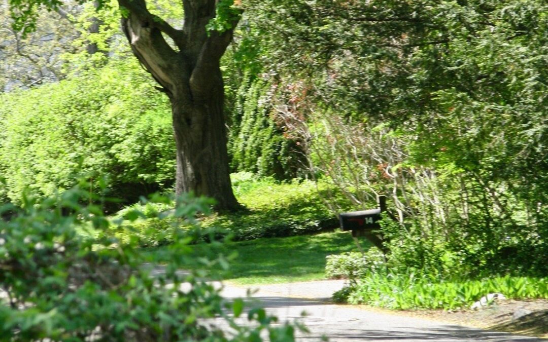  Trolley & Trails, Hammonasset Edition!