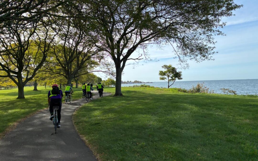 New Haven Town Team Meetup!