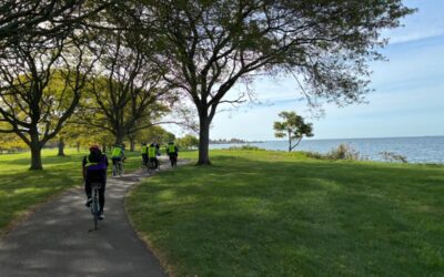 New Haven Town Team Meetup!