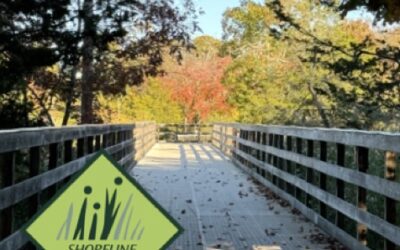 Our 2025 Annual Report is Available!