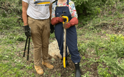 Branford Call for Volunteers