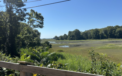 Student Engagement Program Trail Census Update by Volunteer Wyatt Losee