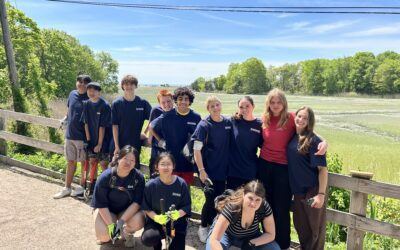 DHHS Day of Service