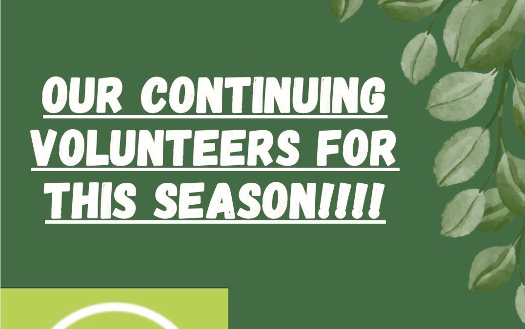 Summer 2026 Student Engagement Program Volunteers