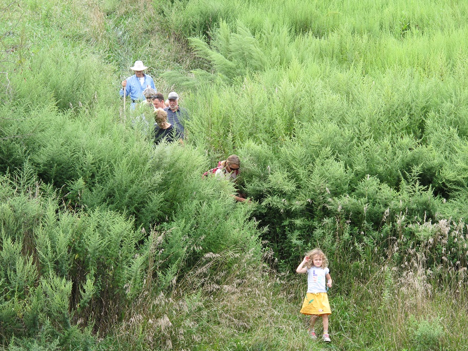 Hiking to Branford's Ecology Park from a soon-to-be-completed section of the Shoreline Greenway Trail