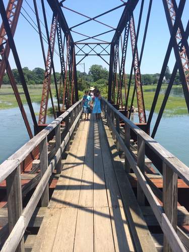 Start looking for fiddler crabs!